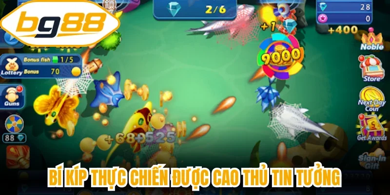 Bí kíp thực chiến được cao thủ tin tưởng
