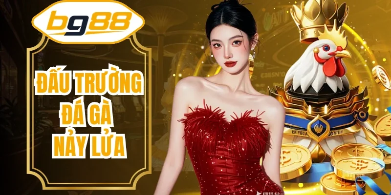 Đấu trường đá gà nảy lửa