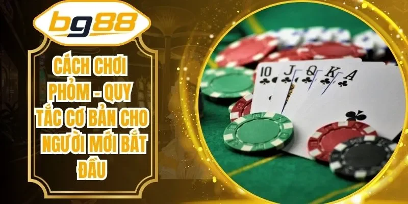 Cách Chơi Phỏm - Quy Tắc Cơ Bản Cho Người Mới Bắt Đầu