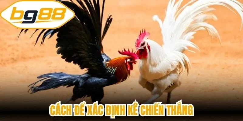 Cách để xác định kê chiến thắng
