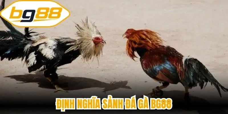Định nghĩa sảnh đá gà BG88