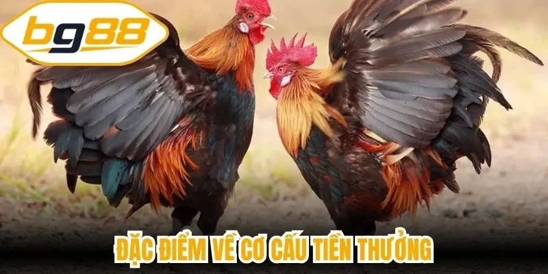Đặc điểm về cơ cấu tiền thưởng