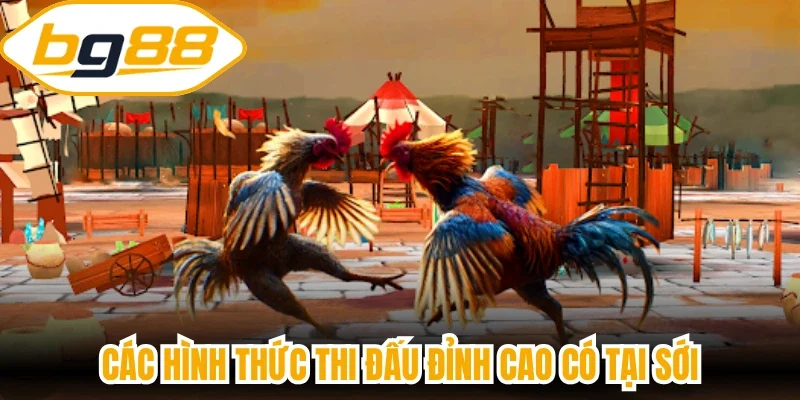Các hình thức thi đấu đỉnh cao có tại sới